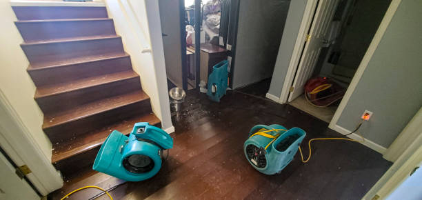 Sewage cleanup and water damage restoration in VA