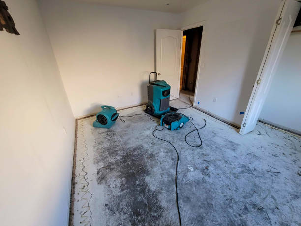 Best Water damage restoration near me  in Buena Vista, VA