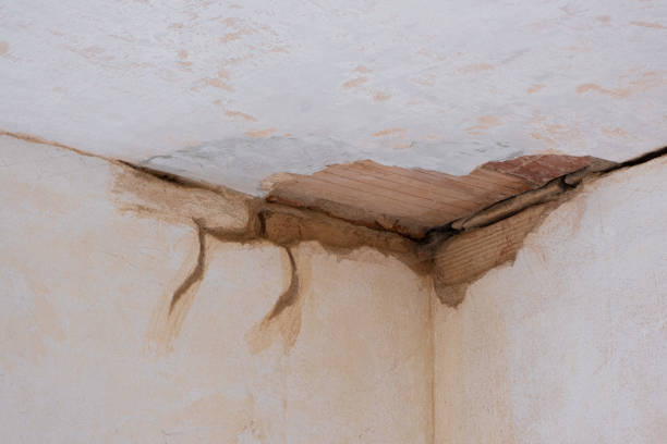 Best Ceiling water damage repair  in Buena Vista, VA