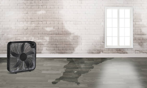 Best Commercial water damage restoration  in Buena Vista, VA