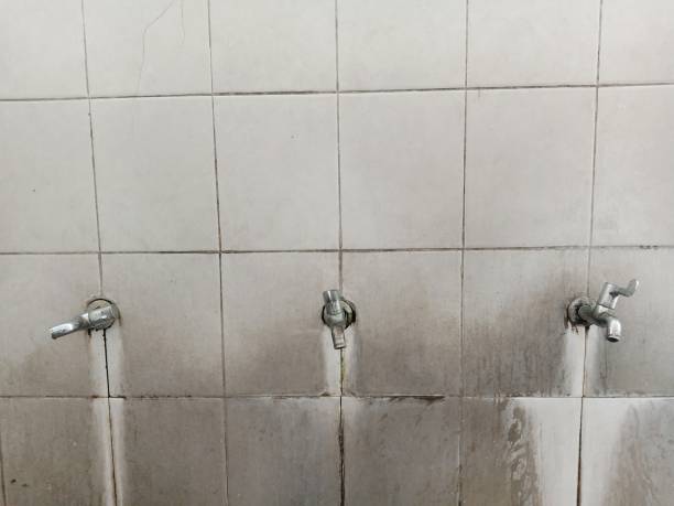 Best Flooded house restoration  in Buena Vista, VA