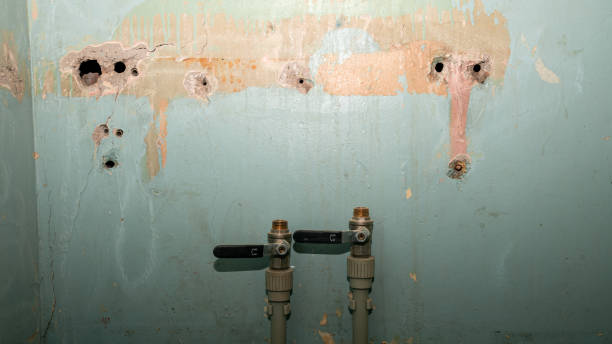 Best Professional water damage repair  in Buena Vista, VA