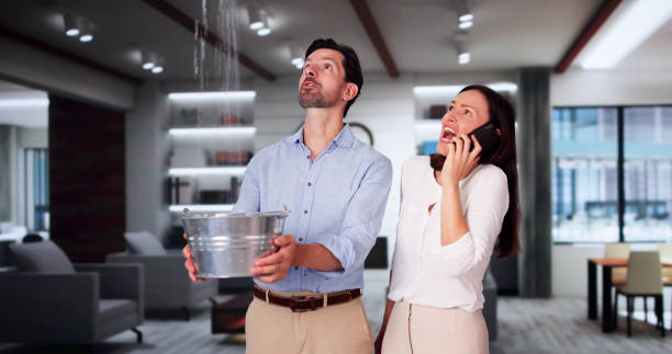 Best Carpet water damage restoration  in Buena Vista, VA