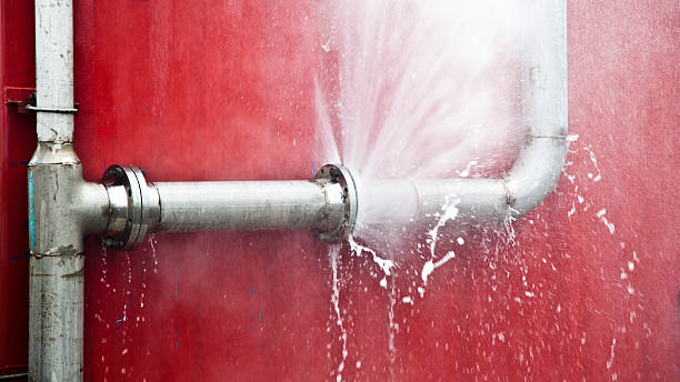 Best Water damage contractors near me  in Buena Vista, VA