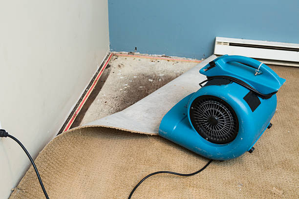 Best Fire Damage Restoration  in Buena Vista, VA